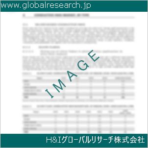 グローバルリサーチ調査資料のイメージ